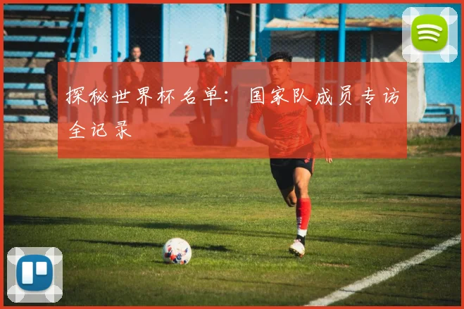 探秘世界杯名单:国家队成员专访全记录
