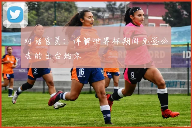 对话官员：详解世界杯期间免签公告的出台始末