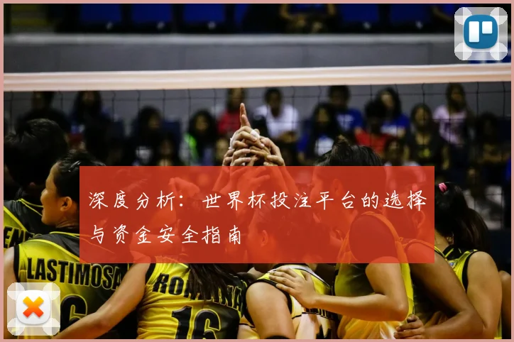 深度分析：世界杯投注平台的选择与资金安全指南