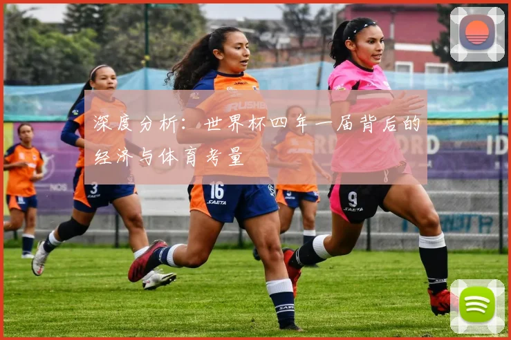 深度分析：世界杯四年一届背后的经济与体育考量