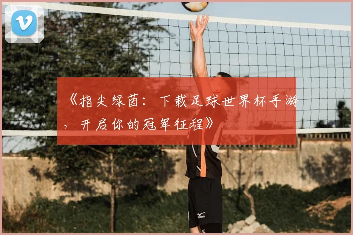 《指尖绿茵:下载足球世界杯手游,开启你的冠军征程》
