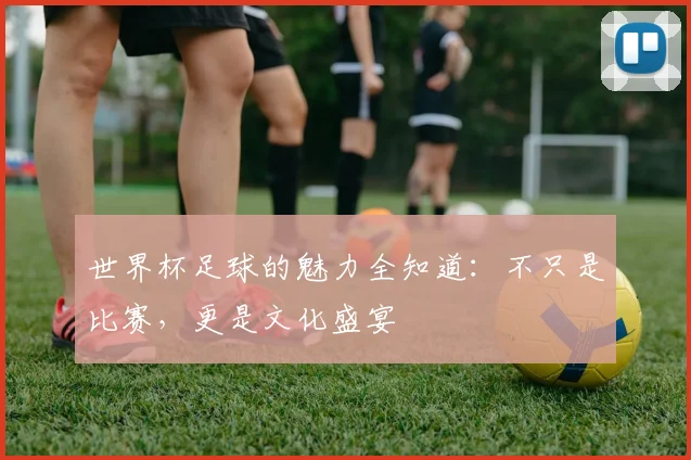 世界杯足球的魅力全知道：不只是比赛，更是文化盛宴