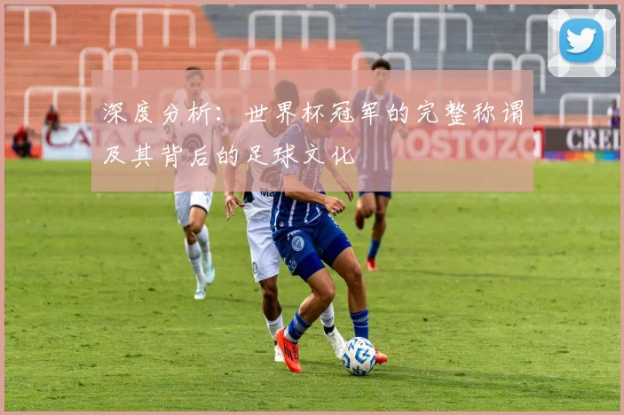 深度分析：世界杯冠军的完整称谓及其背后的足球文化