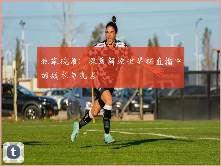 独家视角:深度解读世界杯直播中的战术与亮点